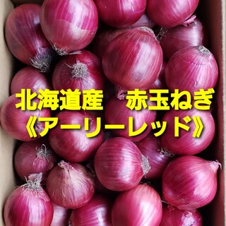 北海道産　赤玉ねぎ【アーリーレッド】 Lサイズ　約５キロ(野菜)