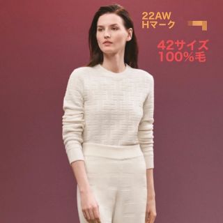 エルメス(Hermes)のHERMES エルメス　22AW秋冬　セーター　新品タグ付き(ニット/セーター)