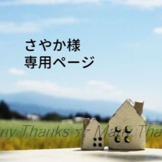 「さやか様　専用ページ」(ブラ)