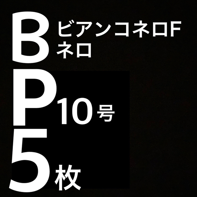 ビアンコネロFネロᏢ10号サイズ5枚