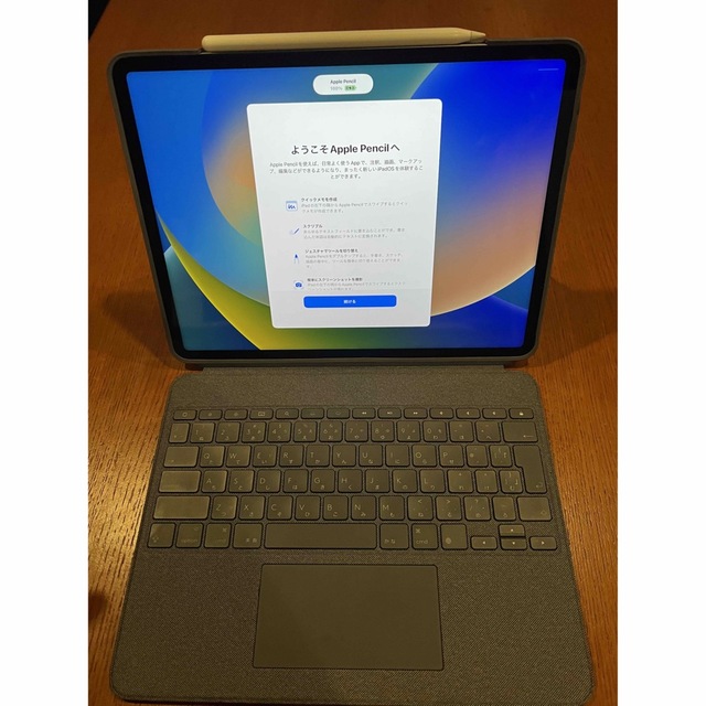 ☆日本の職人技☆ iPad - iPad Pro Wi-Fi 512GB +Apple Pencil+