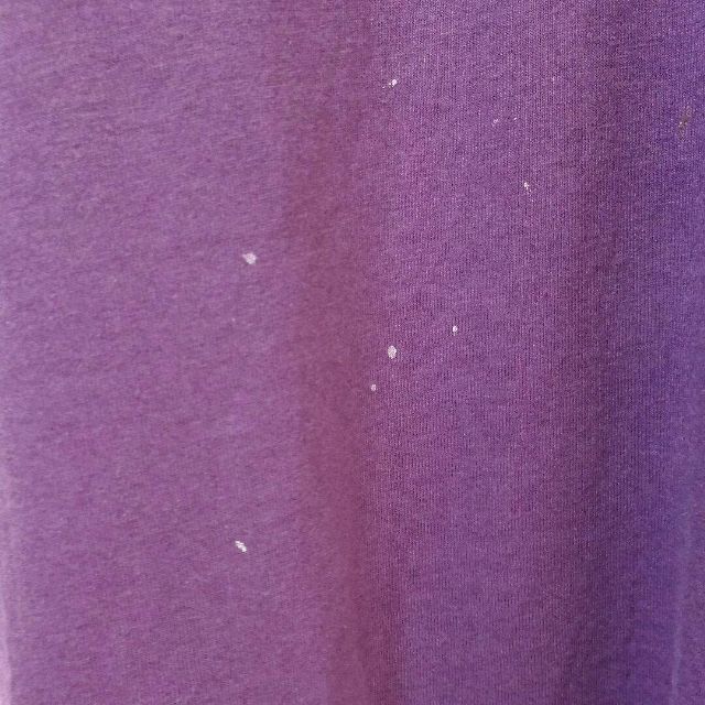 アメリカ製フルーツオブザルーム半袖Tシャツプリントパープルアニマル柄