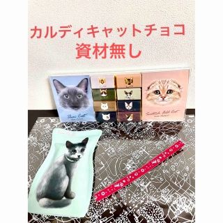 カルディ(KALDI)のカルディ KALDI ネコ キャットチョコレート ギフト資材付き 匿名発送(菓子/デザート)