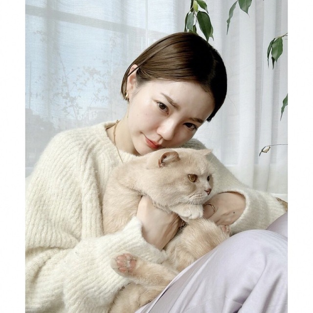 SHISHIKUI  完売　アルパカ65KNIT ホワイト