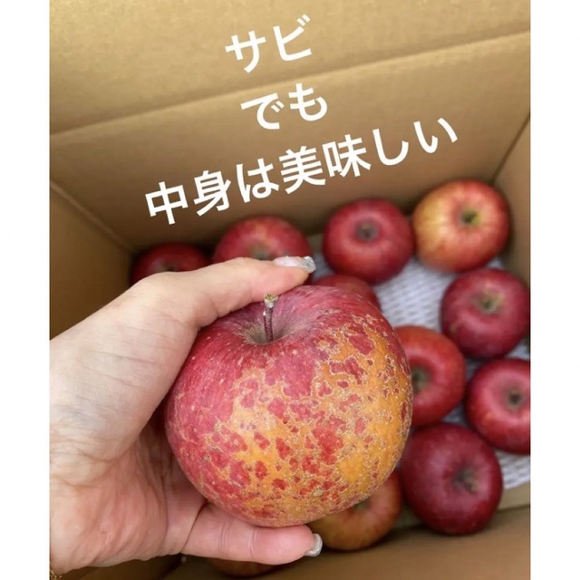 減農薬栽培山形県東根市産❣️ふじりんご小玉訳あり3キロ箱満タン 食品/飲料/酒の食品(フルーツ)の商品写真