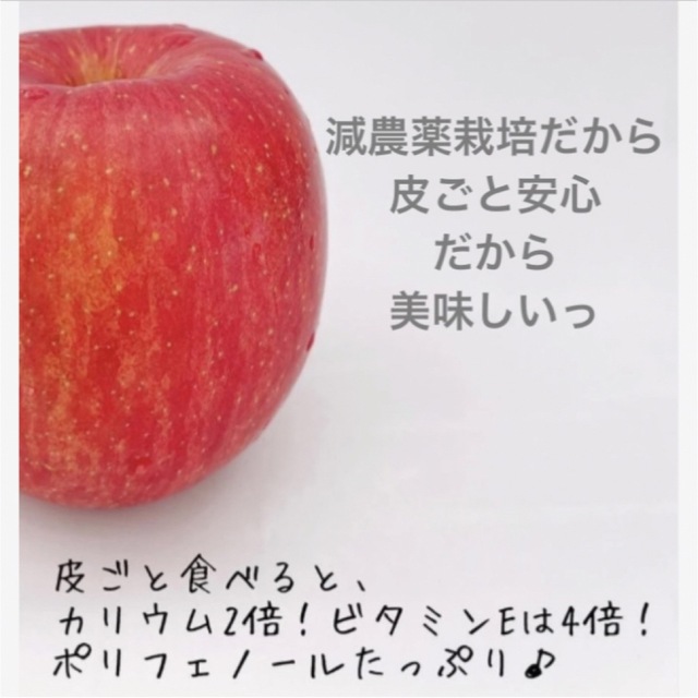 減農薬栽培山形県東根市産❣️ふじりんご小玉訳あり3キロ箱満タン 食品/飲料/酒の食品(フルーツ)の商品写真