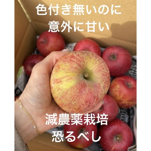 減農薬栽培山形県東根市産❣️ふじりんご小玉訳あり3キロ箱満タン 食品/飲料/酒の食品(フルーツ)の商品写真