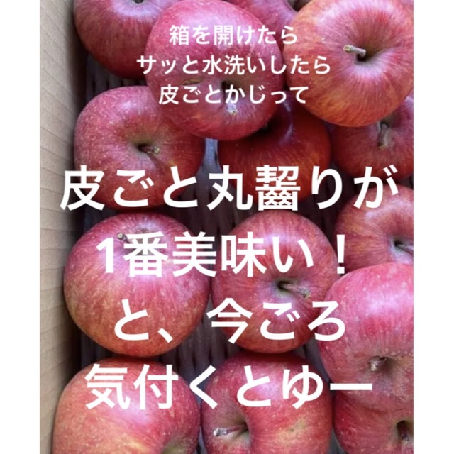 減農薬栽培山形県東根市産❣️ふじりんご小玉訳あり3キロ箱満タン 食品/飲料/酒の食品(フルーツ)の商品写真