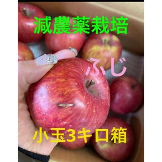 減農薬栽培山形県東根市産❣️ふじりんご小玉訳あり3キロ箱満タン(フルーツ)