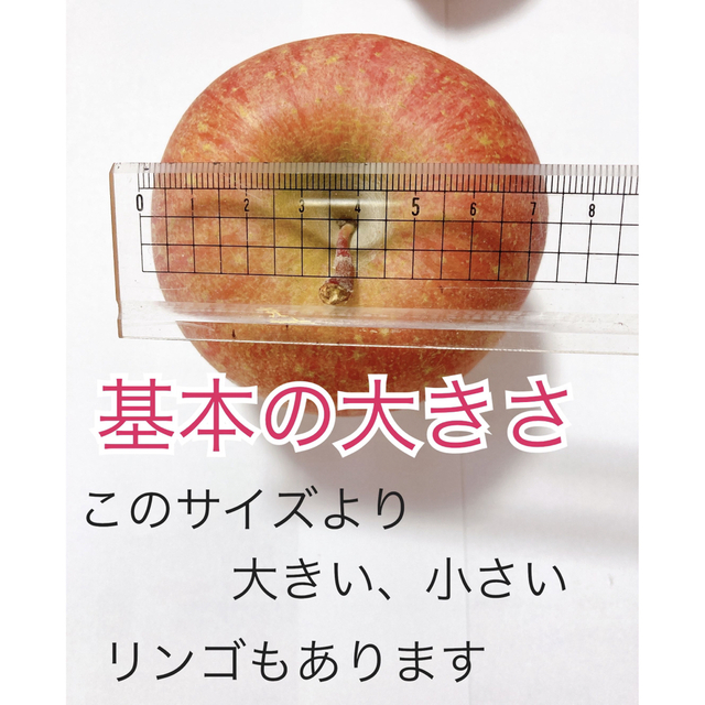 （少し小ぶり）会津の樹上葉取らず家庭用リンゴ約40個入り 食品/飲料/酒の食品(フルーツ)の商品写真