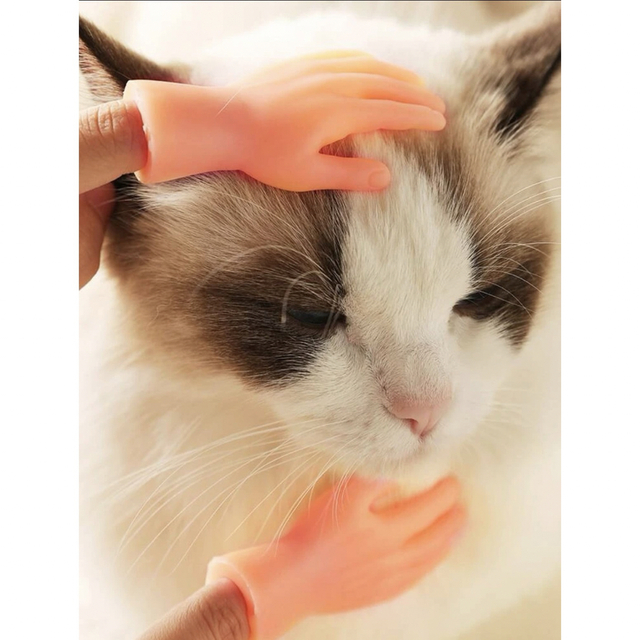 猫用☆ティーザー☆未使用品 その他のペット用品(猫)の商品写真