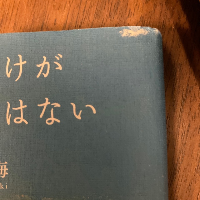 甲子園だけが高校野球ではない エンタメ/ホビーの本(文学/小説)の商品写真