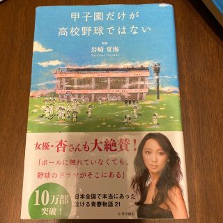 甲子園だけが高校野球ではない(文学/小説)