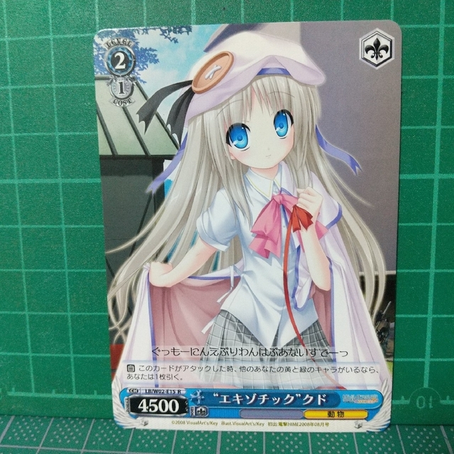 ヴァイスシュヴァルツ - ヴァイスシュヴァルツ エキゾチック クドの