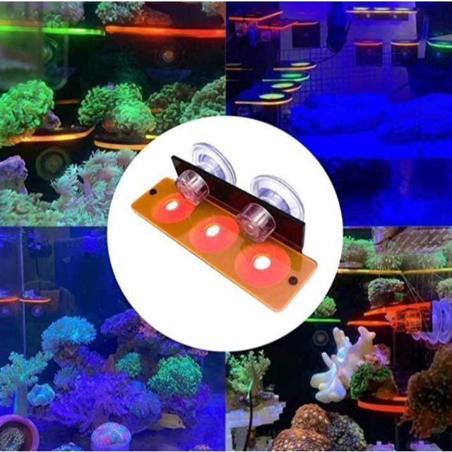 マリンアクアリウム　サンゴ　サンゴ礁　フラグラック　蛍光　水槽　オレンジ　海水 その他のペット用品(アクアリウム)の商品写真