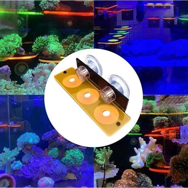 マリンアクアリウム　サンゴ　サンゴ礁　フラグラック　蛍光　水槽　イエロー　海水 その他のペット用品(アクアリウム)の商品写真