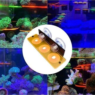 マリンアクアリウム　サンゴ　サンゴ礁　フラグラック　蛍光　水槽　イエロー　海水(アクアリウム)