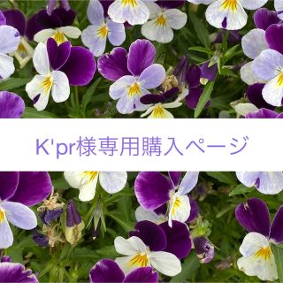 ＊K'pr様専用＊購入ページ＊(その他)