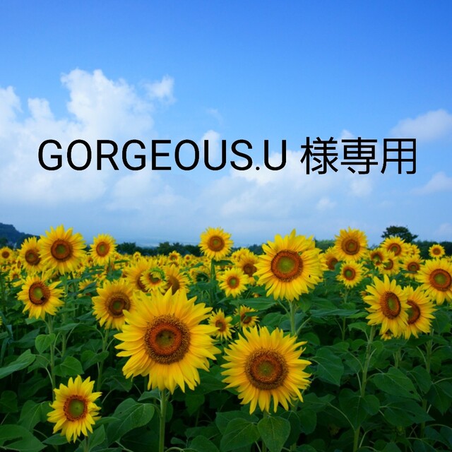 GORGEOUS.U様専用 【福袋セール】 49.0%割引 velileenre.com-日本全国