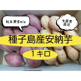 種子島産安納芋紅＆黄金一口サイズ(野菜)