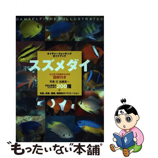 スズメダイ ひと目で特徴がわかる図解付き /誠文堂新光社/加藤昌一 スズメダイ ひと目で特徴がわかる図解付き /誠文堂新光社/加藤昌一