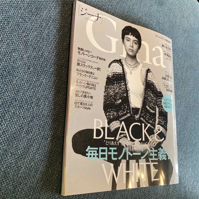 gina winter エンタメ/ホビーの雑誌(ファッション)の商品写真