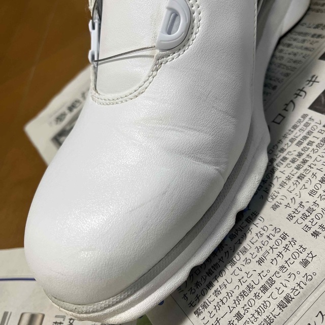 FootJoy(フットジョイ)のゴルフシューズ スポーツ/アウトドアのゴルフ(シューズ)の商品写真