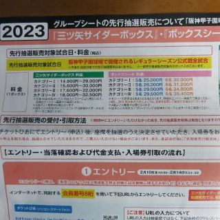 ハンシンタイガース(阪神タイガース)のグループシート先行抽選販売権利　2023 年間予約 阪神タイガース 甲子園球場(野球)