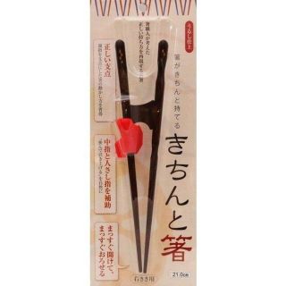 きちんと箸 大人用 矯正箸 21cm 右利き用(カトラリー/箸)