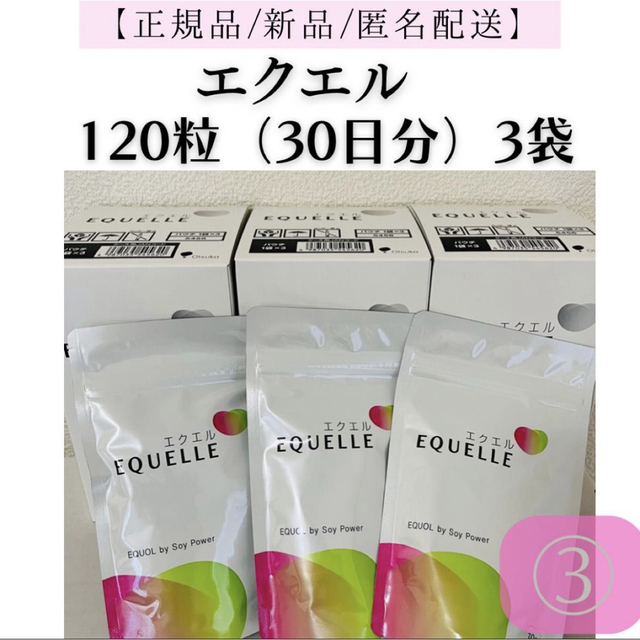 大塚製薬 エクエル パウチ120粒30日分×3袋（賞味期限:2021.3.9） - その他