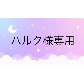 ハルク様専用(各種パーツ)