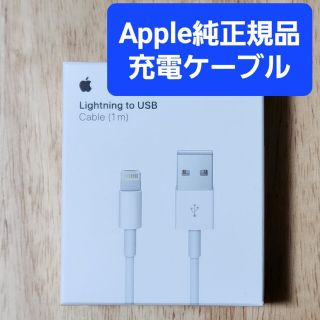 アップル(Apple)のApple純正iPhone充電ケーブル(その他)