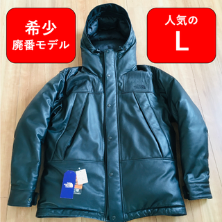 ザノースフェイス(THE NORTH FACE)の【希少廃番 L 美品】ザ ノースフェイス マウンテンダウン レザージャケット(ダウンジャケット)