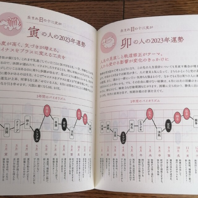 お値打ち❢水晶玉子　開運-和暦ダイアリー2023 新品未使用品 エンタメ/ホビーの本(住まい/暮らし/子育て)の商品写真