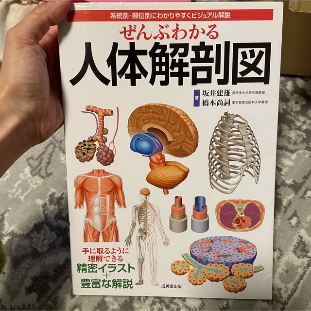 ぜんぶわかる 人体解剖図の通販 by ☆|ラクマ ぜんぶわかる 人体解剖図の通販 by ☆|ラクマ