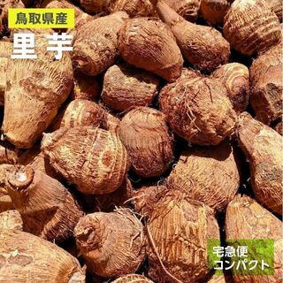 【鳥取県産】黄金里芋　サトイモ　山芋　大和芋　 宅急便コンパクト　1kg前後
