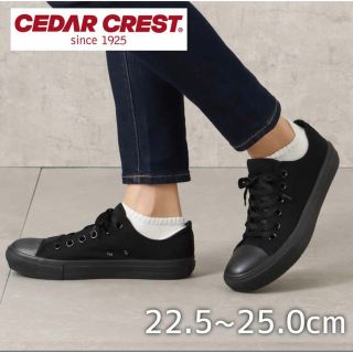 セダークレスト(CEDAR CREST)のセダークレストスニーカー新品24cm(スニーカー)