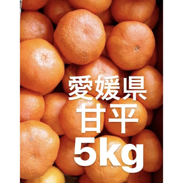 愛媛県産　甘平　柑橘　5kg