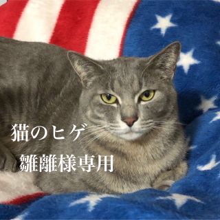 猫のヒゲ 35×4(おもちゃ/ペット小物)