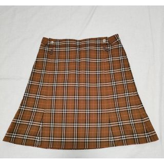 バーバリーブルーレーベル(BURBERRY BLUE LABEL)のBURBERRY BLUE LABELスカート(ひざ丈スカート)