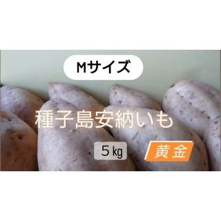 種子島安納いも黄金M 5キロ(野菜)