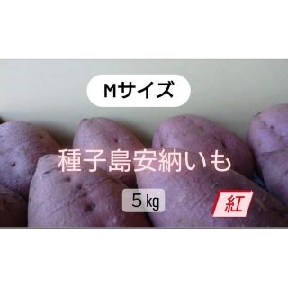 種子島安納いも紅 M 5キロ(野菜)