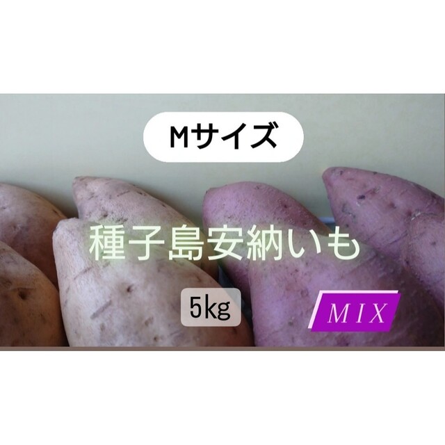 種子島安納いもMIX M 5キロ 食品/飲料/酒の食品(野菜)の商品写真