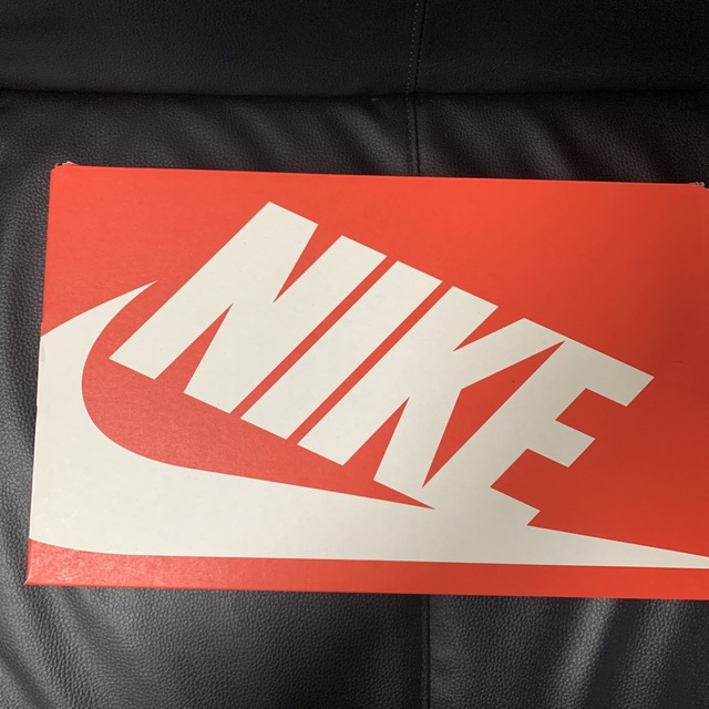 NIKE(ナイキ)のNIKE ナイキ ダンクロー レトロ "グレイフォグ" SIZE 26cm メンズの靴/シューズ(スニーカー)の商品写真