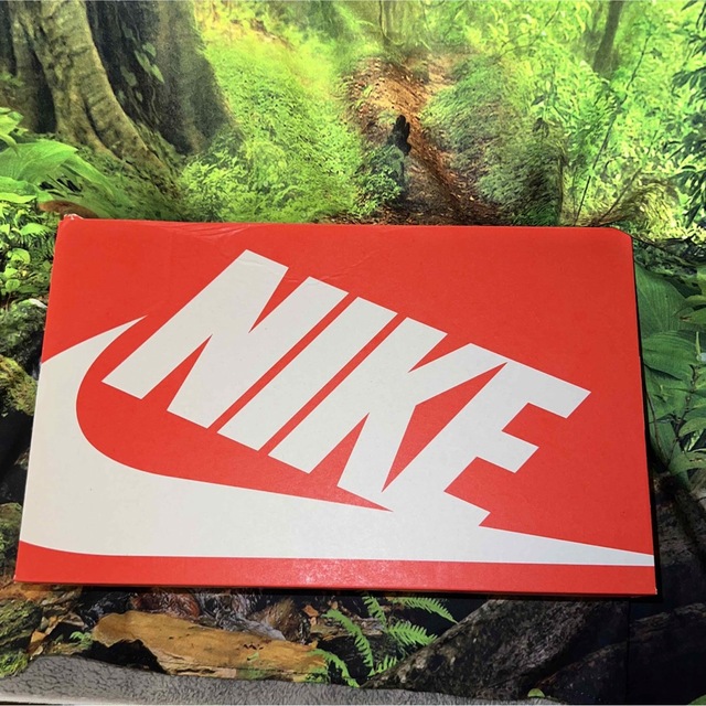 Nike Dunk Low Retro “Grey Fog” 26.5cm 2