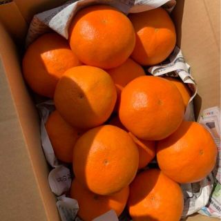 愛媛県産 甘平 少し訳あり 箱込み約3kg柑橘 ミカンの通販 by ...