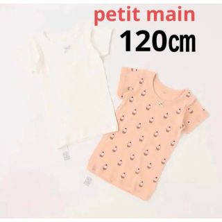 プティマイン(petit main)のpetit main 半袖肌着2P オフホワイト 120㎝(下着)