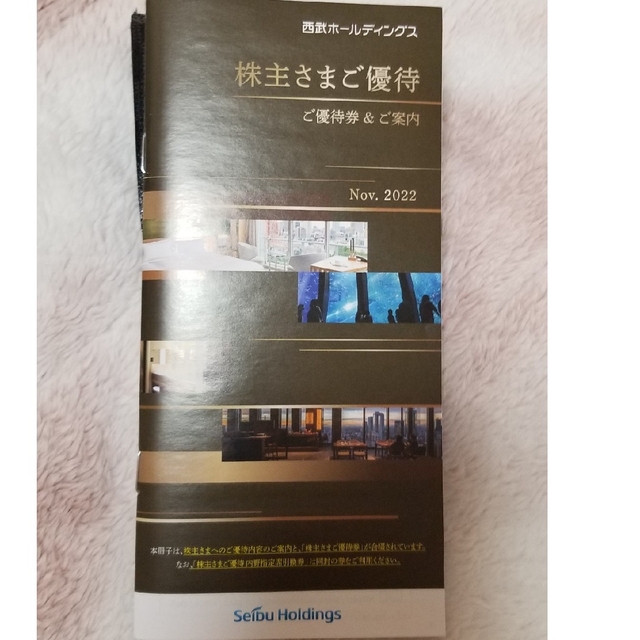 西武ホールディングス株主優待冊子のみ(1000株用)！