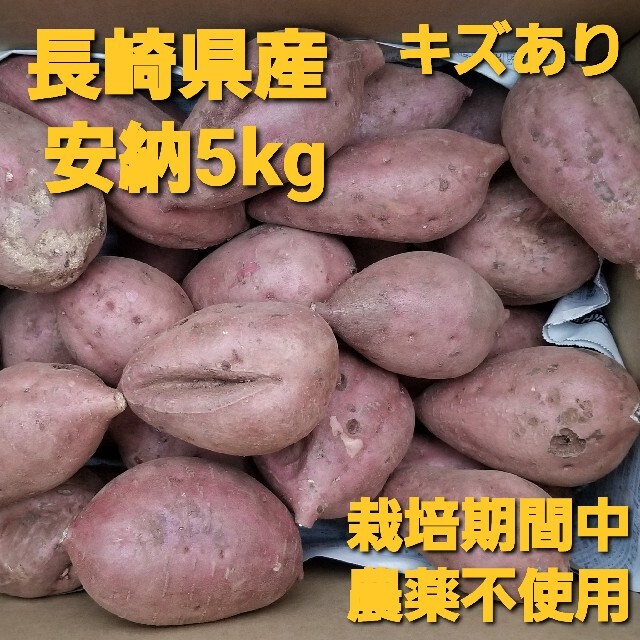 【キズあり】長崎県産さつまいも安納5kg栽培期間中農薬不使用 食品/飲料/酒の食品(野菜)の商品写真