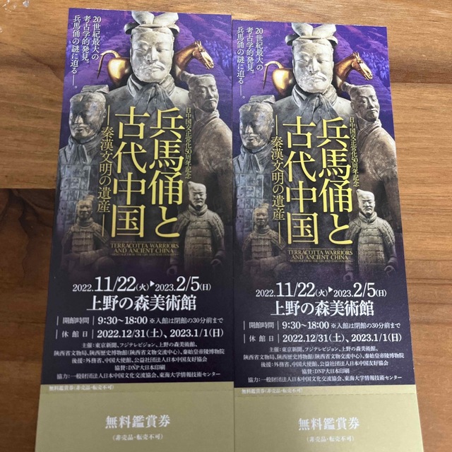 兵馬俑と古代中国　鑑賞券×2 チケットの施設利用券(美術館/博物館)の商品写真